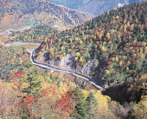 乗鞍スカイライン
