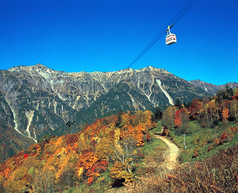 新穂高ロープウェイ